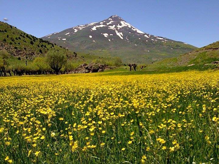 Yldz Oto Kurtarma ve ekici Hizmeti